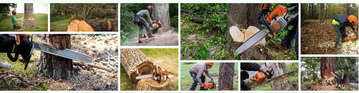 Réalisation Brion Espace Vert