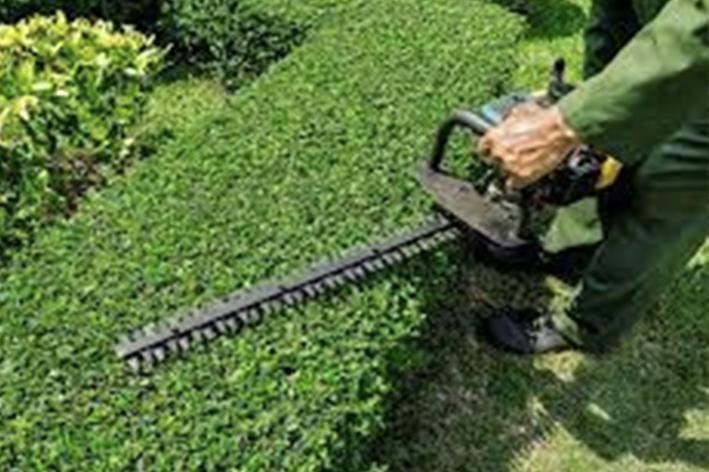 Brion Espace Vert - Elagueur 41 - elagueur 18 - Elagueur 36