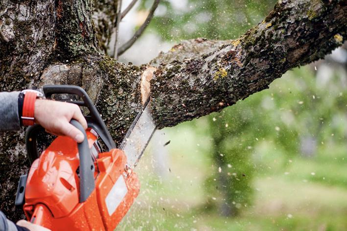 Brion Espace Vert - Elagueur 41 - elagueur 18 - Elagueur 36
