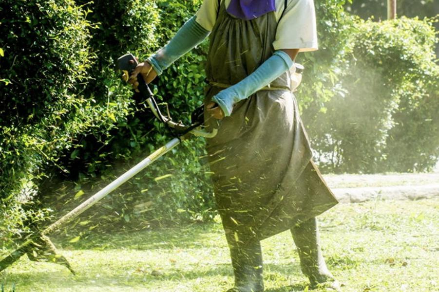 Brion Espace Vert - Elagueur 41 - elagueur 18 - Elagueur 36