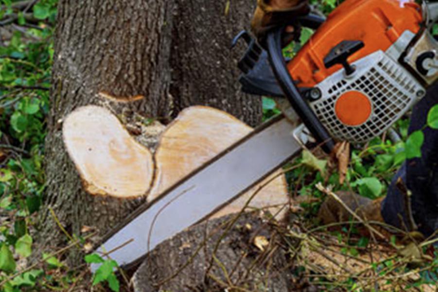 Brion Espace Vert - Elagueur 41 - elagueur 18 - Elagueur 36