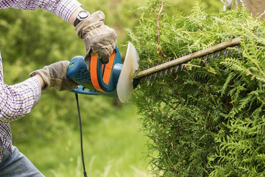 Brion Espace Vert - Elagueur 41 - elagueur 18 - Elagueur 36