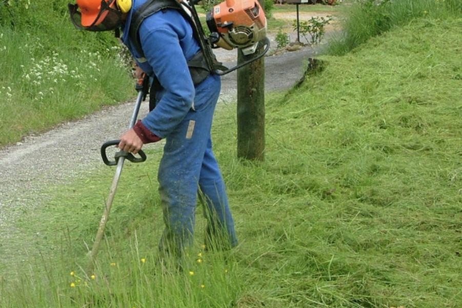 Brion Espace Vert - Elagueur 41 - elagueur 18 - Elagueur 36