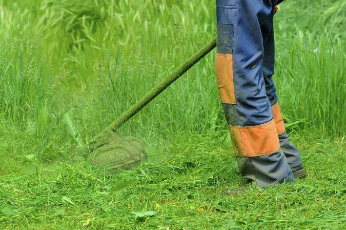 Entretien - Brion Espace Vert