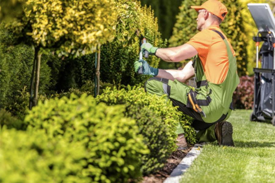 Entretien - Brion Espace Vert
