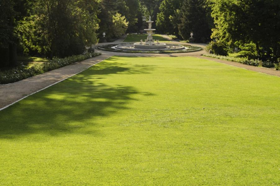 Entretien - Brion Espace Vert