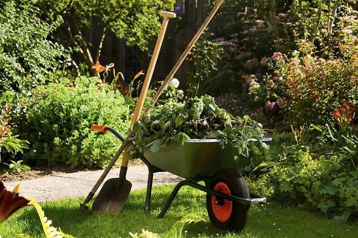 Entretien - Brion Espace Vert