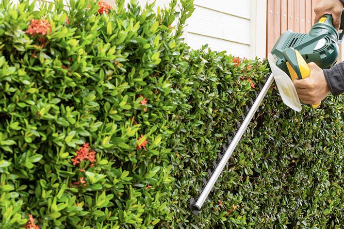 Entretien - Brion Espace Vert